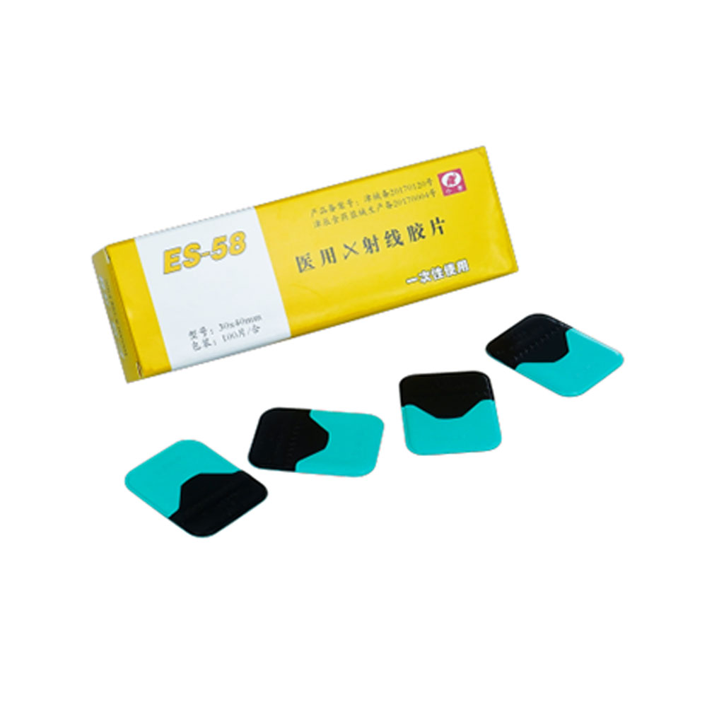 X线片 励齿